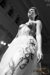 festival-cokolady-2014img_9592bw.jpg